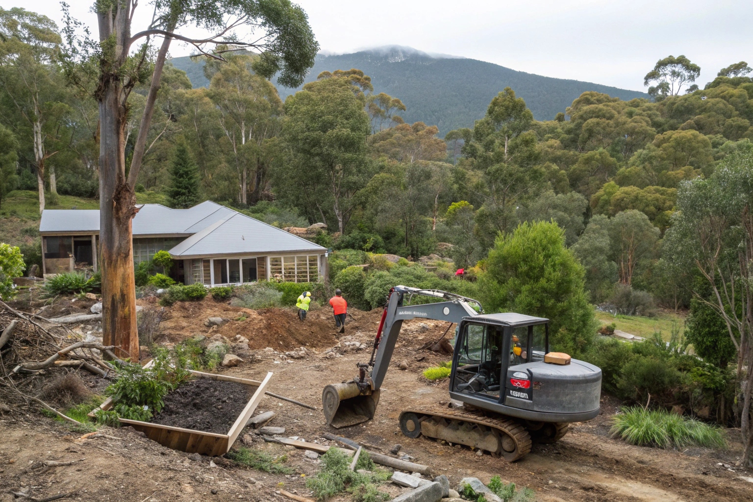Garden preservation during Lenah Valley house demolition project protecting mature native plants